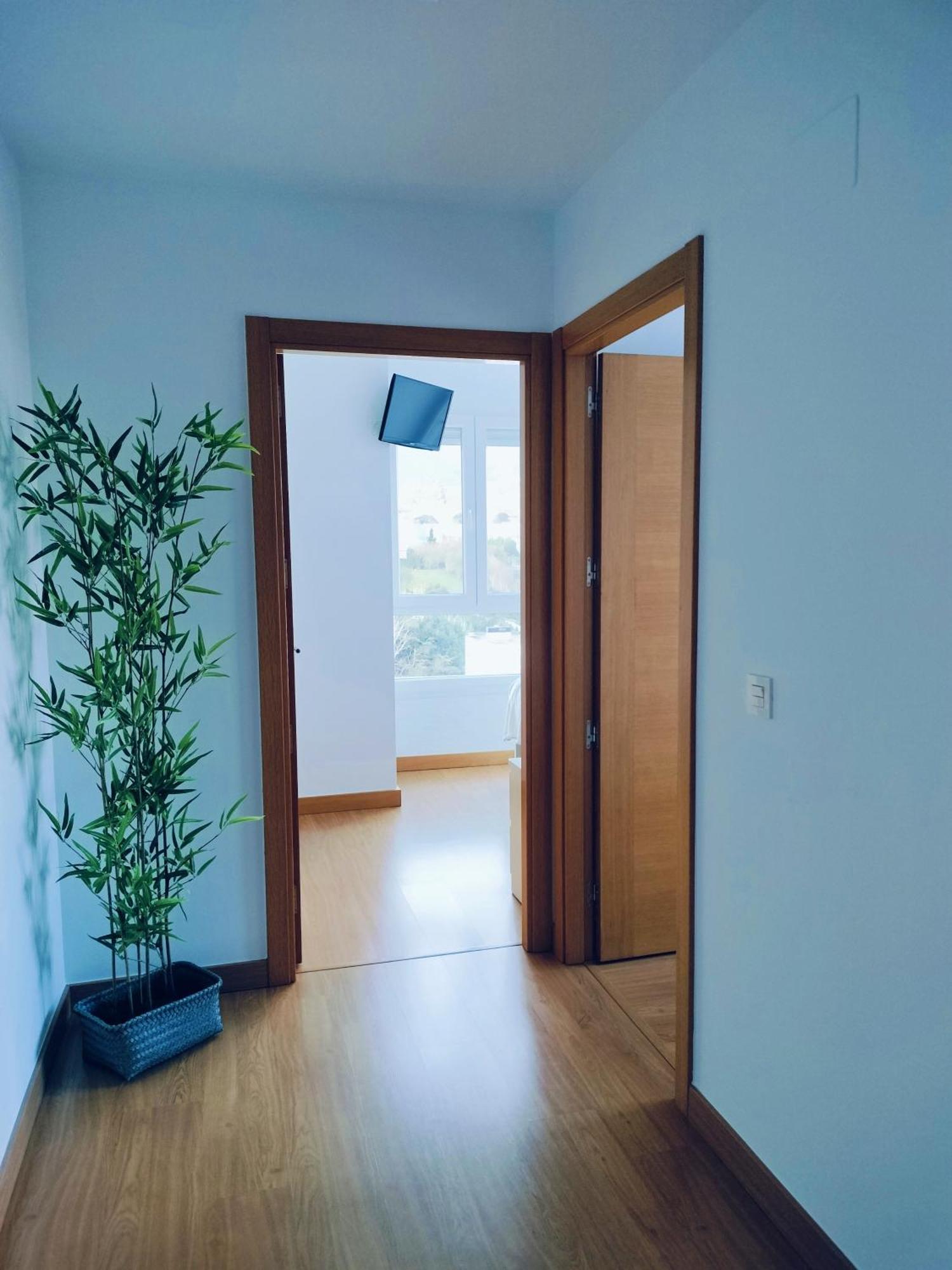 דירות ברמאו Apartamento Patxike Con Plaza De Garaje חדר תמונה